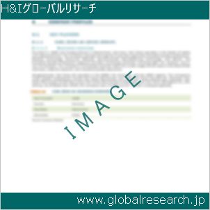 グローバルリサーチ調査レポートのイメージ